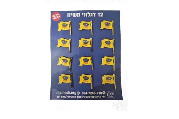 ⁦דגלון משיח (2 סיכות)⁩ – תמונה ⁦2⁩