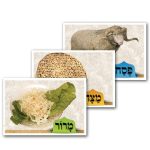 ערכת 3 צילומים לתליה פסח מצה ומרור