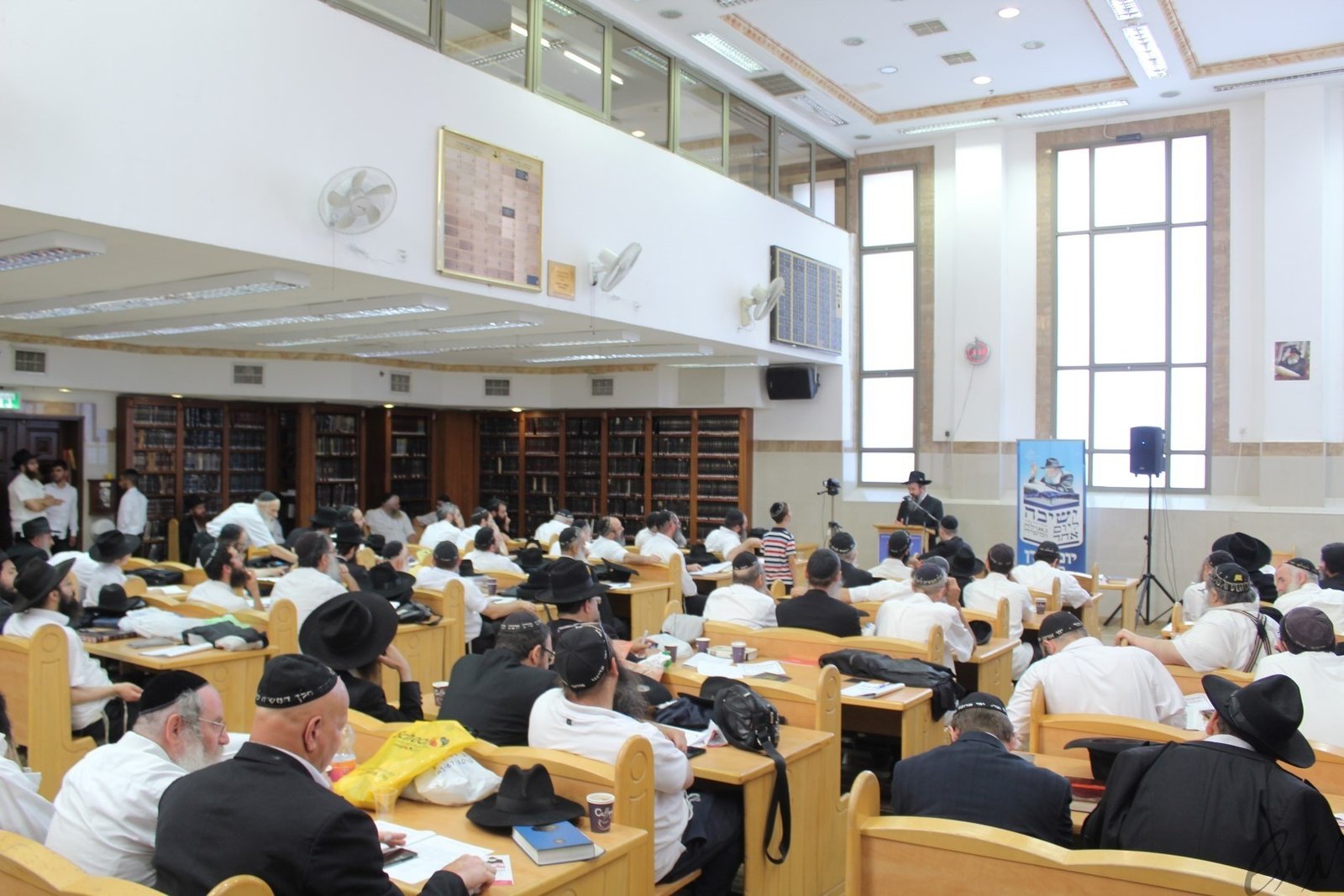 IMG_7962 (Large) - עותק